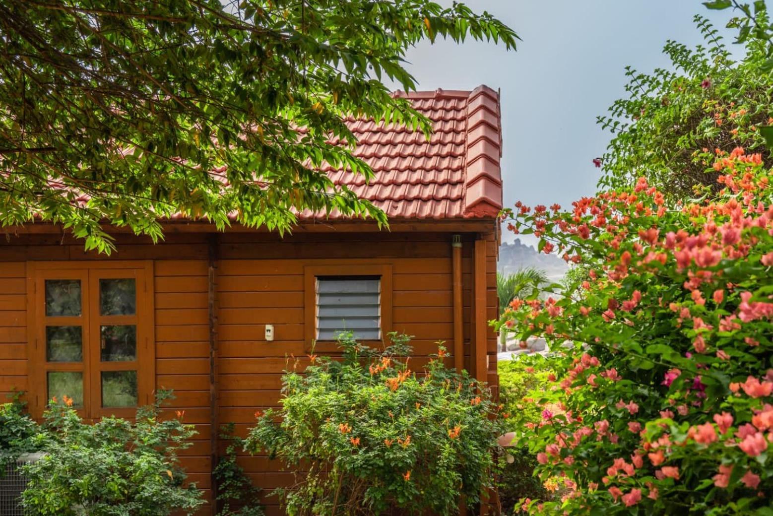 Leo Wooden Resorts Hampi Luaran gambar