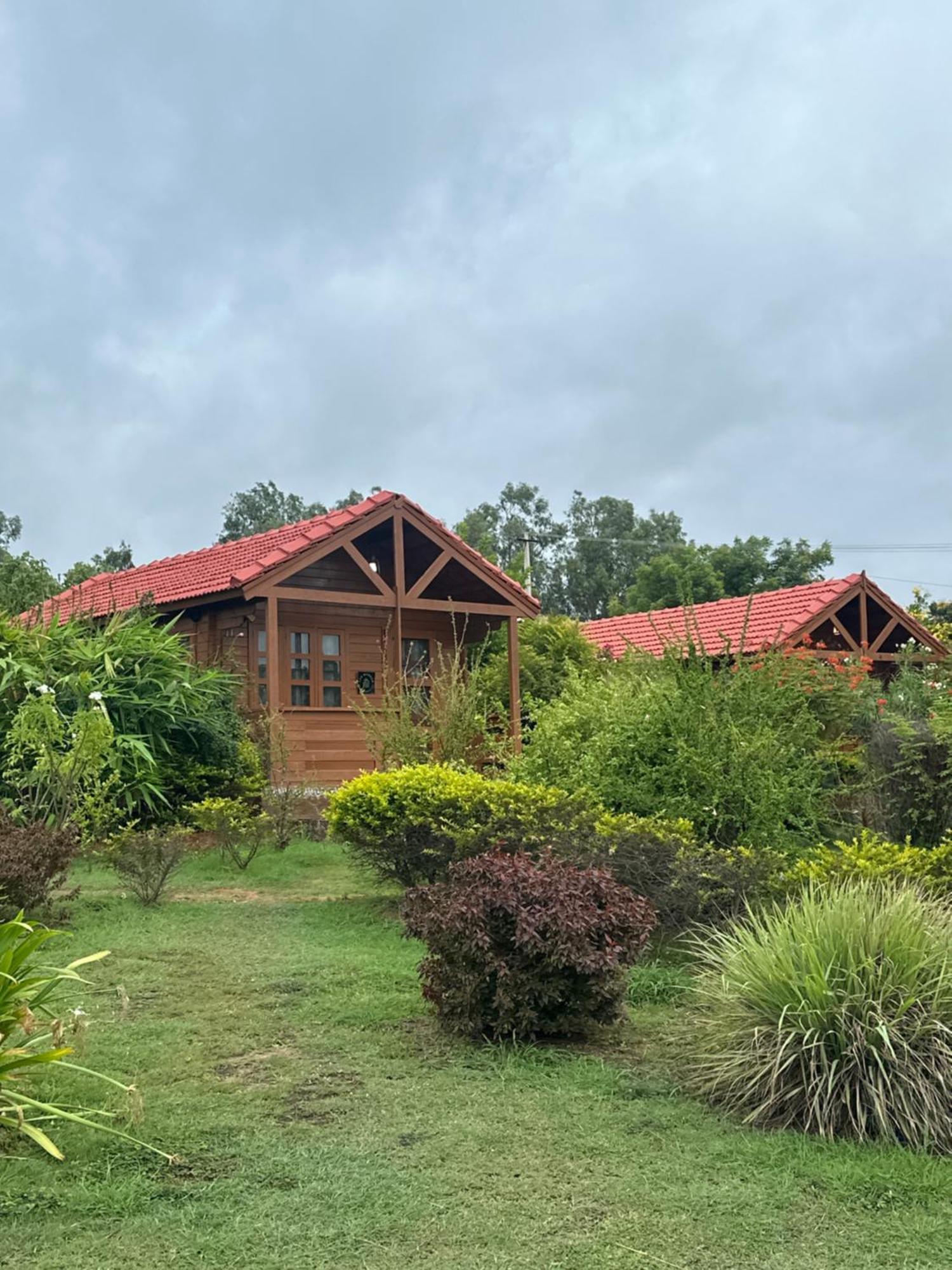 Leo Wooden Resorts Hampi Luaran gambar