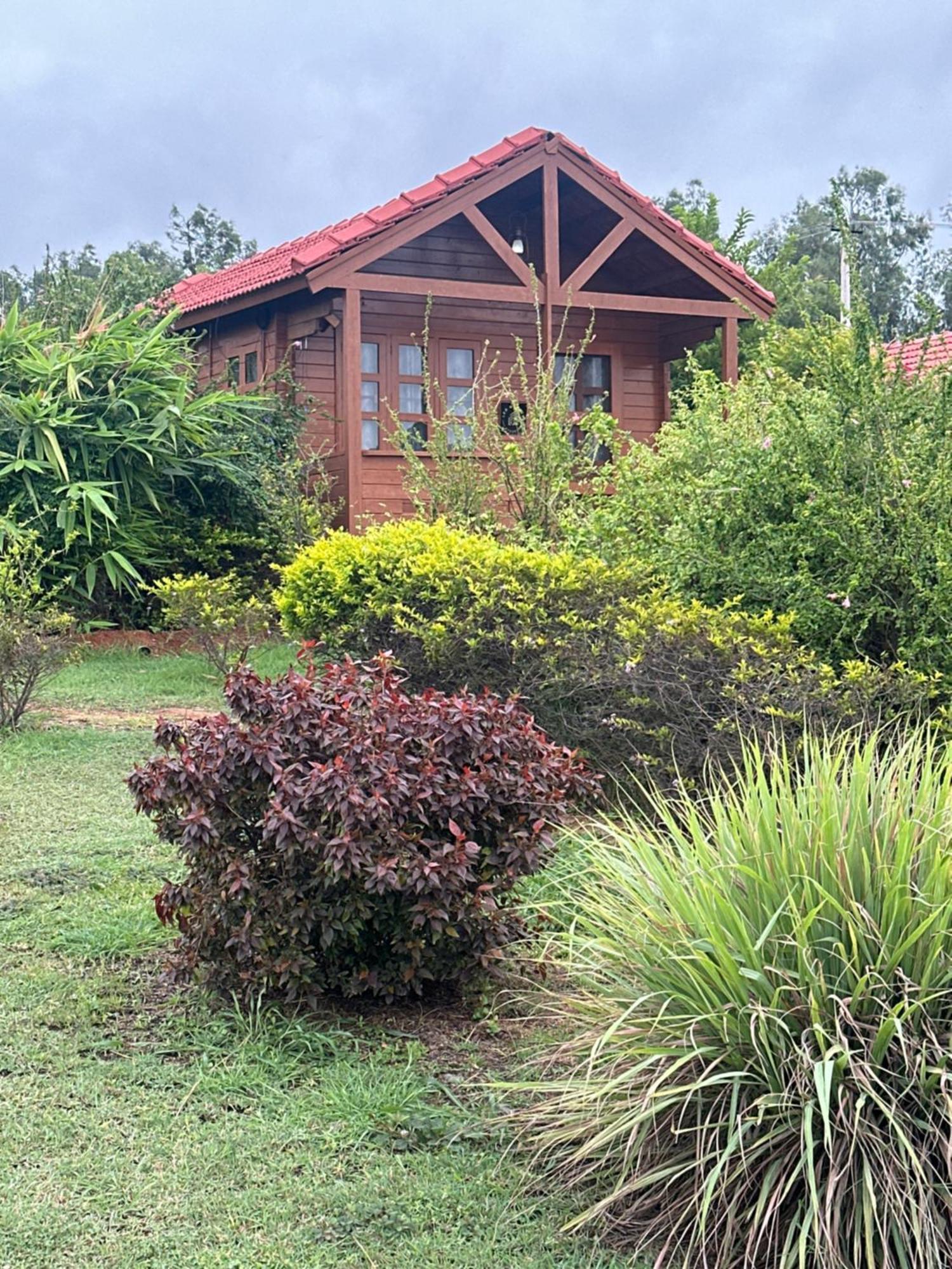Leo Wooden Resorts Hampi Luaran gambar